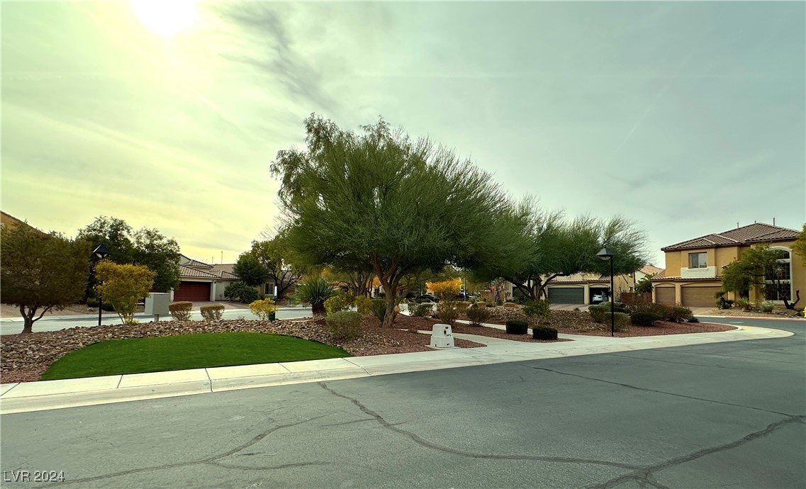 3732 Via Di Girolamo Avenue, Henderson, Nevada image 32