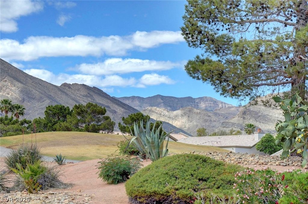 Photo of 10300 Button Willow Drive, Las Vegas, NV 89134 (MLS # 2773722)