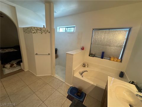 Single Family Residence in Laughlin NV 1458 Palm Drive 31.jpg