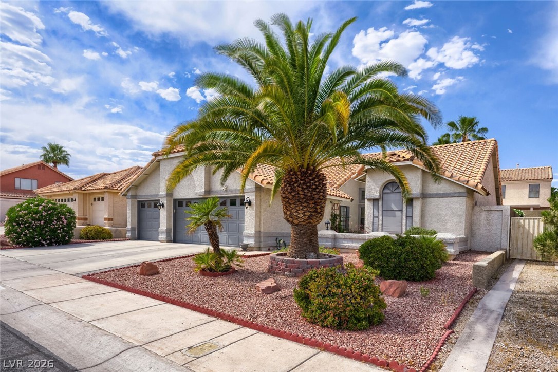 9536 Cliff View Way