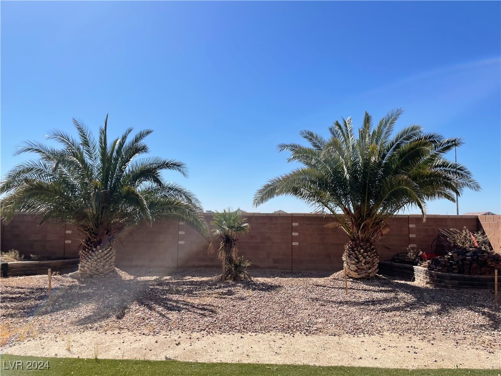 3605 Perching Bird Lane, North Las Vegas, Nevada image 30