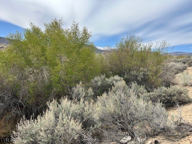 740 Chiatovich Creek, Dyer, Nevada image 1