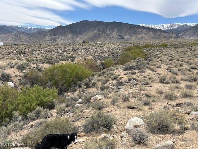 740 Chiatovich Creek, Dyer, Nevada image 8