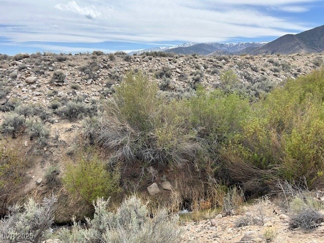 740 Chiatovich Creek, Dyer, Nevada image 4