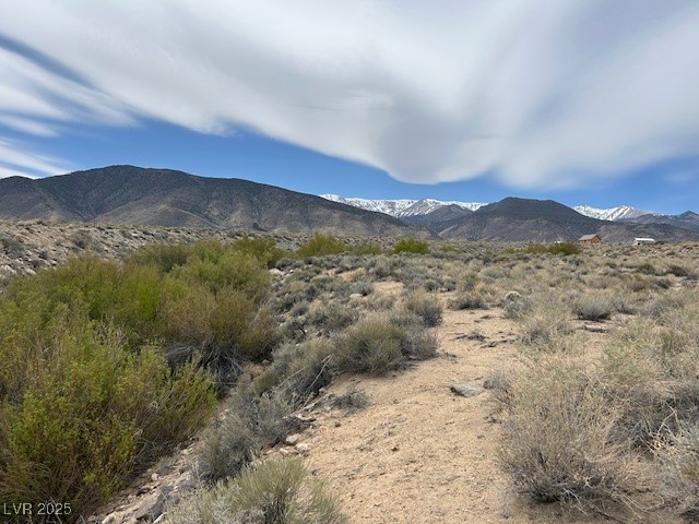 740 Chiatovich Creek, Dyer, Nevada image 3