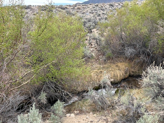740 Chiatovich Creek, Dyer, Nevada image 2
