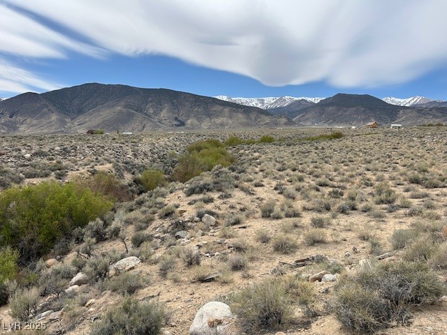 740 Chiatovich Creek, Dyer, Nevada image 7