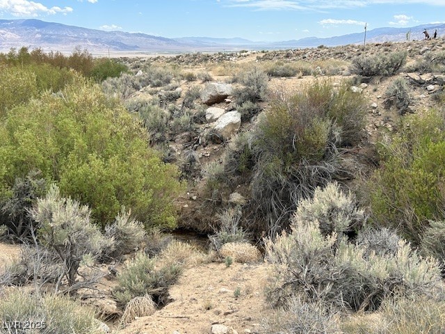 740 Chiatovich Creek, Dyer, Nevada image 6