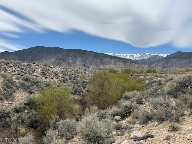 740 Chiatovich Creek, Dyer, Nevada image 5