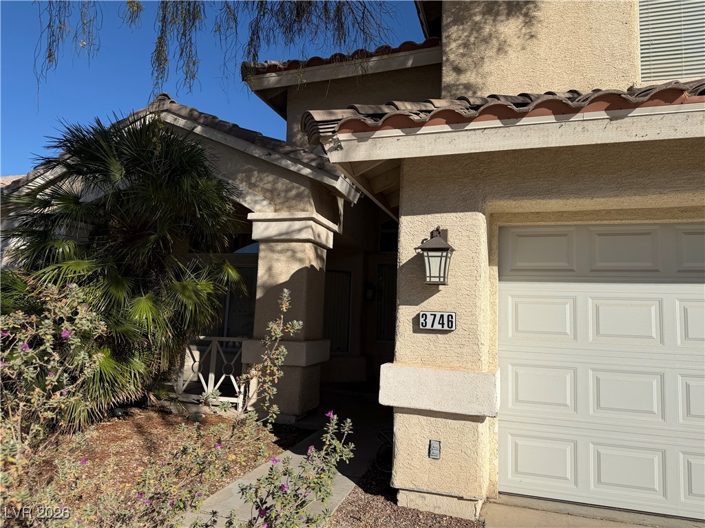 3746 White Carnation Street