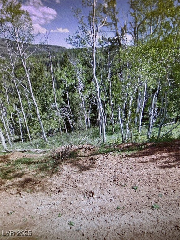 524 W Ski View Drive, Brian Head, Utah image 1