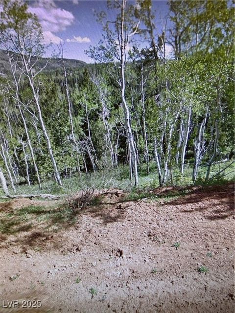 Vacant Land For Sale - 524 W Ski View Drive<br/> Brian Head, UT 84719