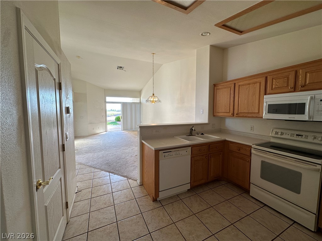 663 Del Lago Drive