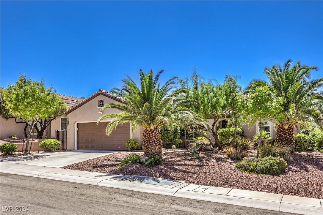 View Henderson, NV 89044 house