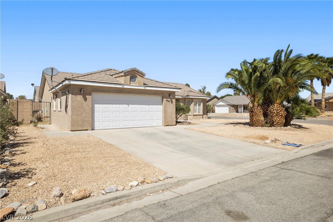 466 Muddy Peak Court