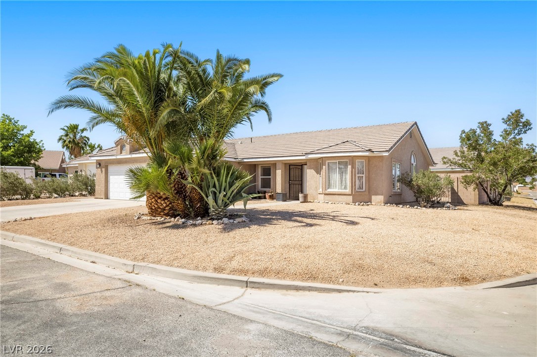 466 Muddy Peak Court