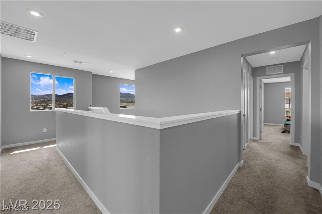 3192 Timorasso Avenue, Henderson, Nevada image 32