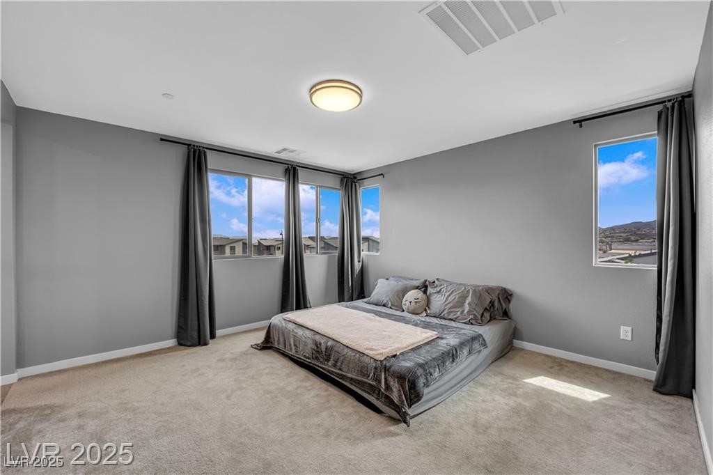 3192 Timorasso Avenue, Henderson, Nevada image 33