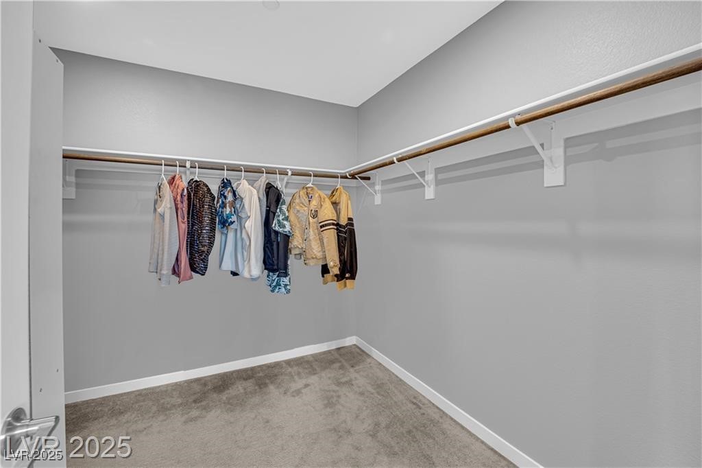 3192 Timorasso Avenue, Henderson, Nevada image 8