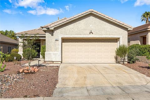 3257 Rushing Waters Place Las Vegas NV 89135