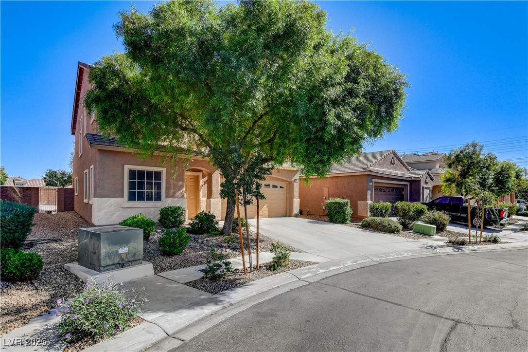 6024 Peacock Pine Street