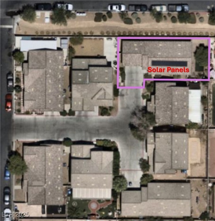 2520 Bottle Palm Court