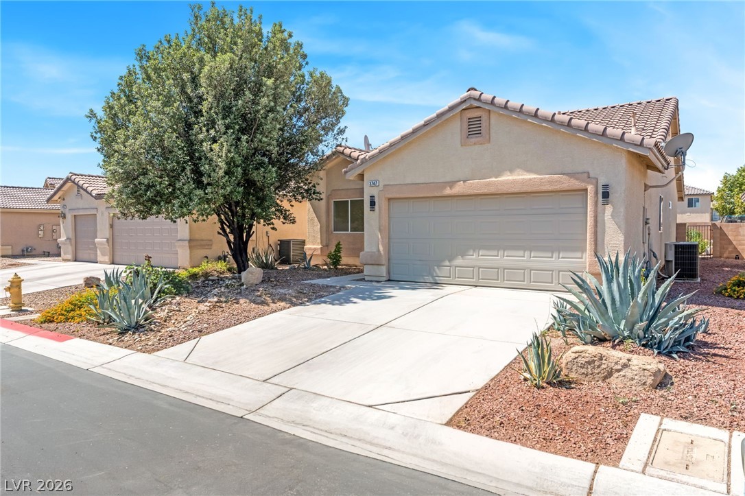 3747 Squirrel Street