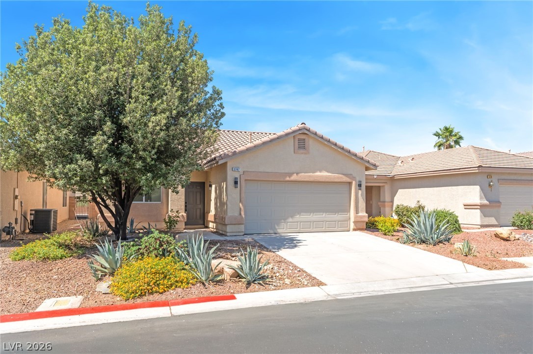 3747 Squirrel Street