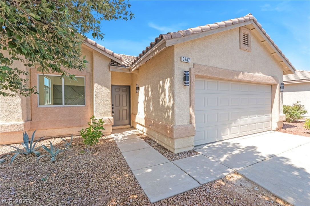 3747 Squirrel Street