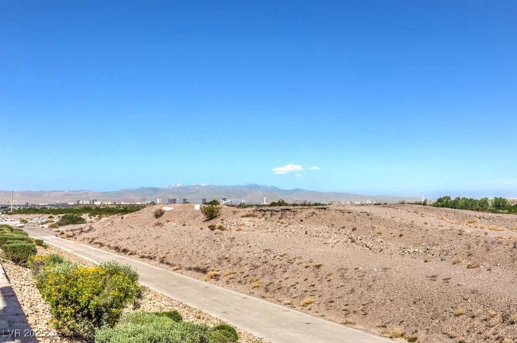 228 Via Vallisneri, Henderson, Nevada image 45
