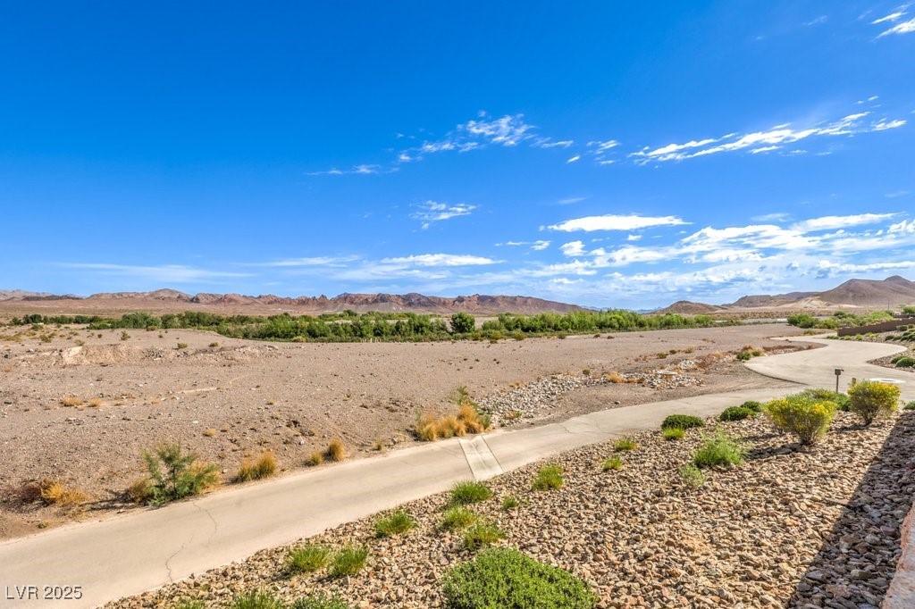 228 Via Vallisneri, Henderson, Nevada image 44