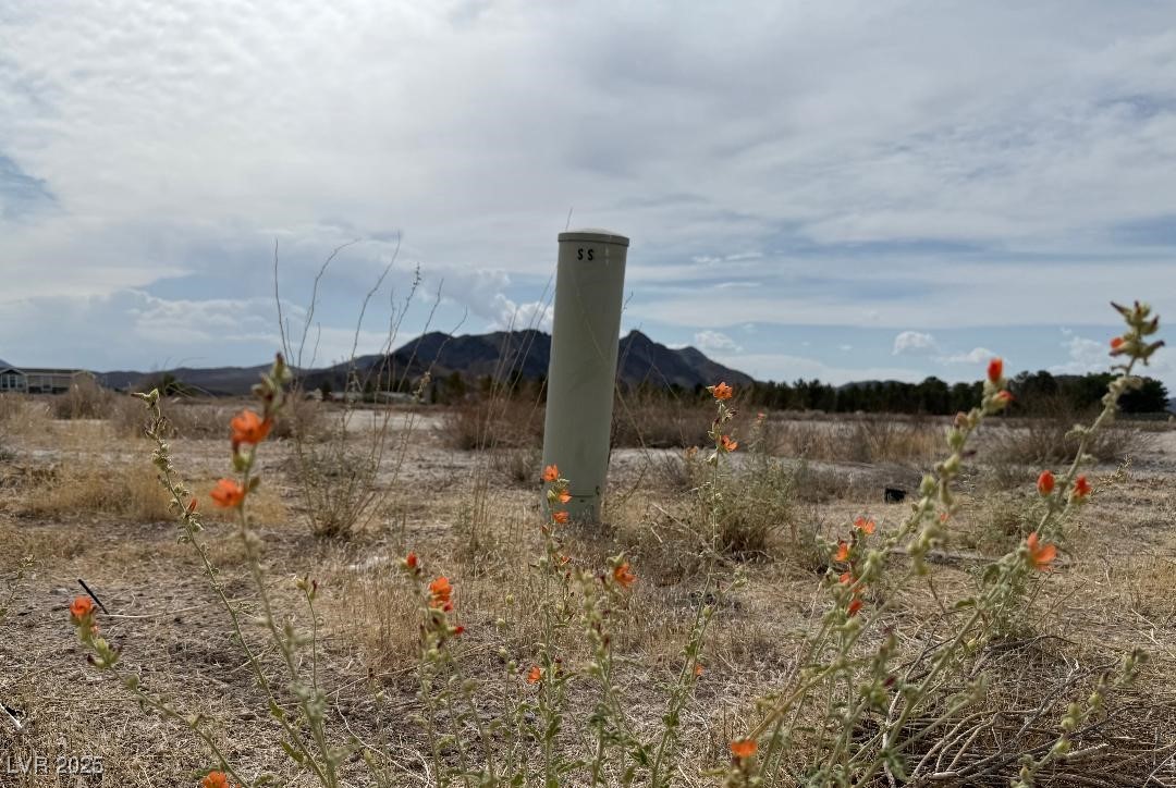 3550 Buffington Lane, Pahrump, Nevada image 3