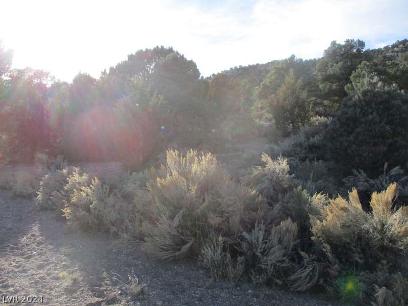 Nevada Hwy 322 (30.15 Ac), Pioche, Nevada image 9