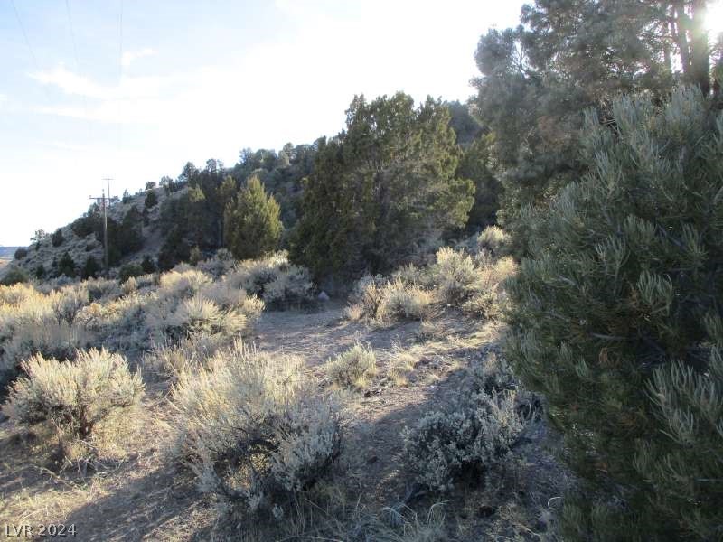 Nevada Hwy 322 (30.15 Ac), Pioche, Nevada image 8