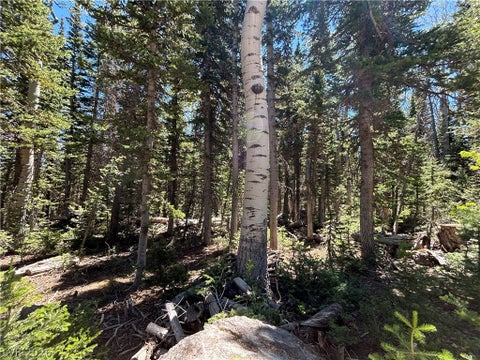Vacant Land For Sale - 713 S Paintbrush Street<br/> Brian Head, UT 84719