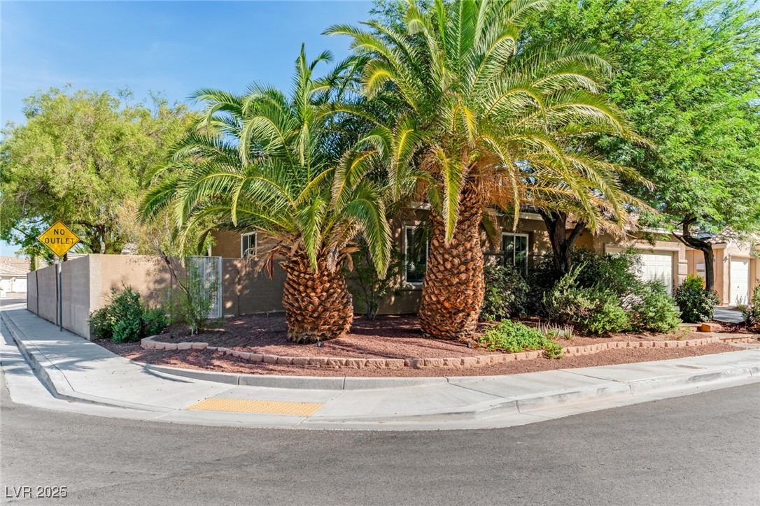 1006 Coldwater Falls Way