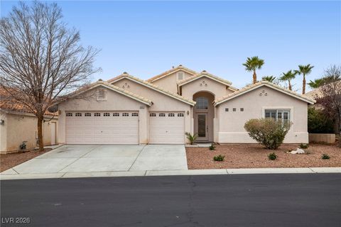 8893 Rio Grande Falls Avenue Las Vegas NV 89178