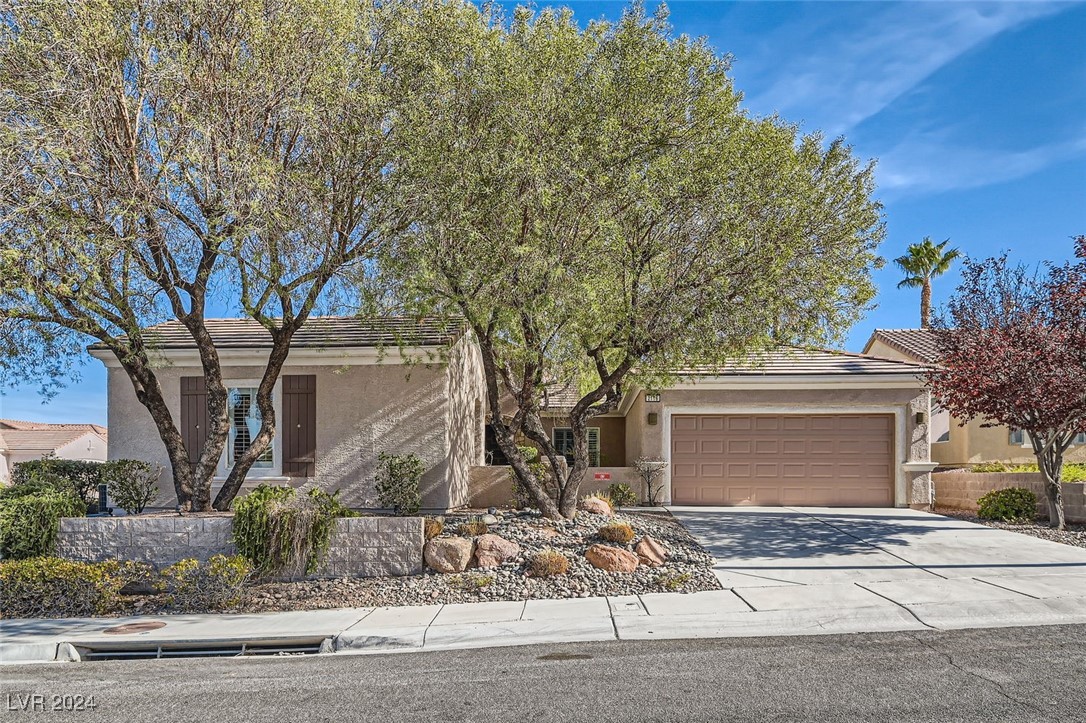 2116 Clearwater Lake Drive, Henderson, Nevada image 1