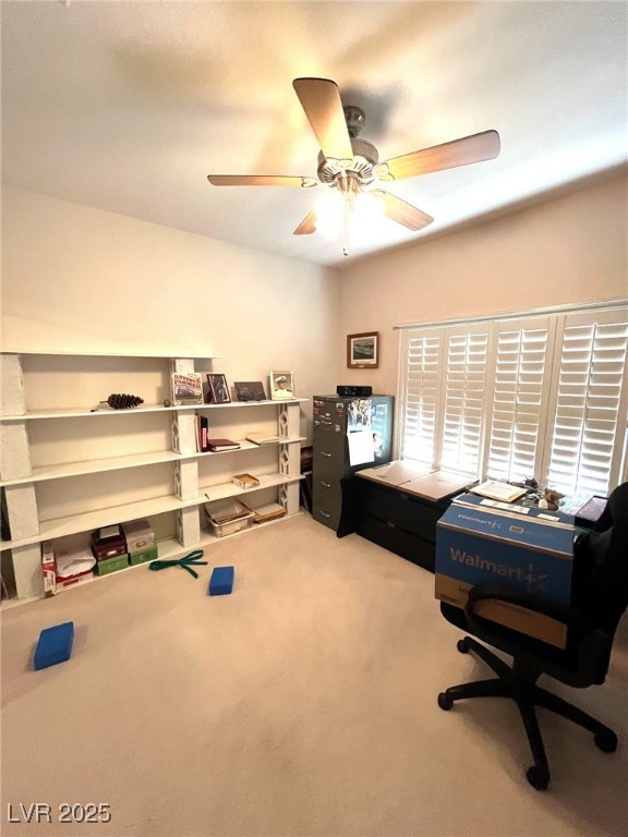 2925 Big Green Lane, Las Vegas, Nevada image 13