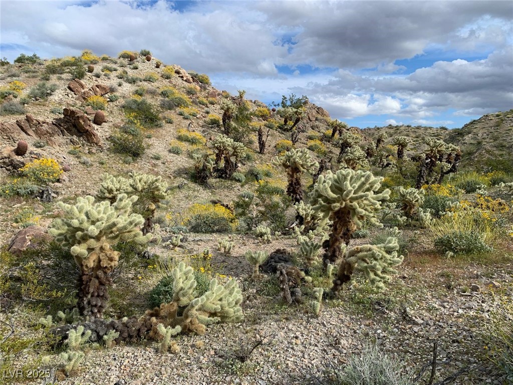 3 Renegades Mine Road, Searchlight, Nevada image 22