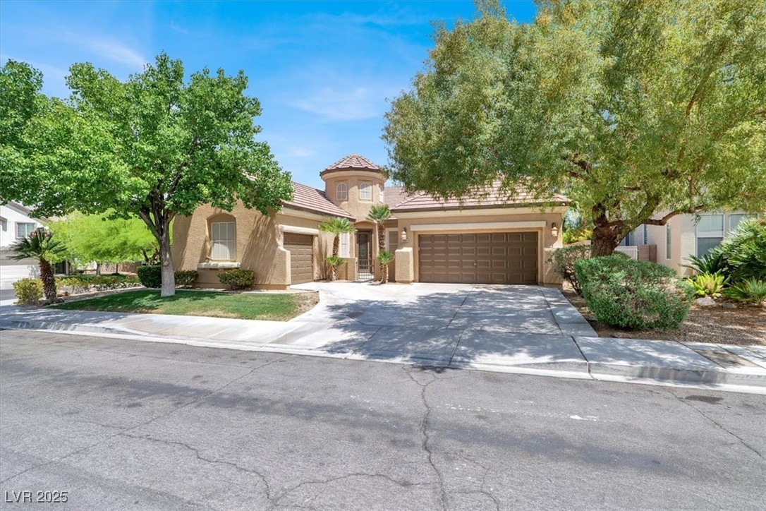 1330 Coulisse Street