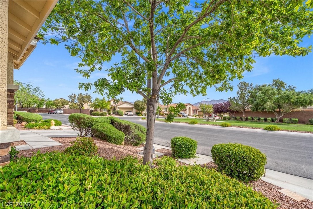 7811 SUGARLOAF PEAK Street