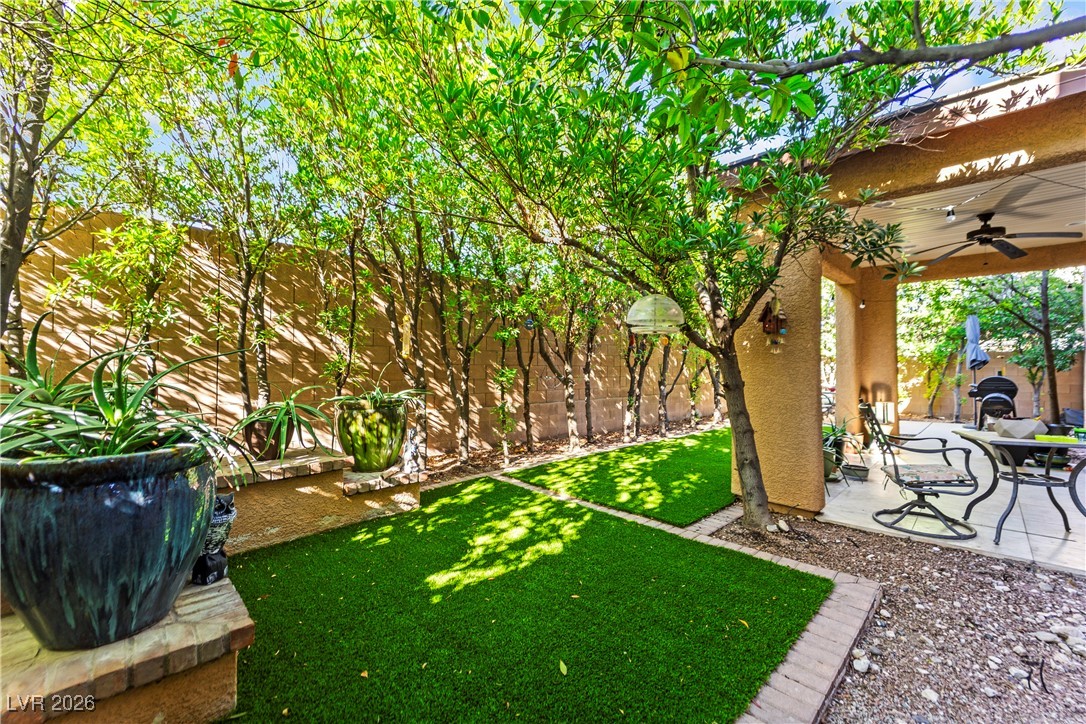 6423 Cameron Park Street