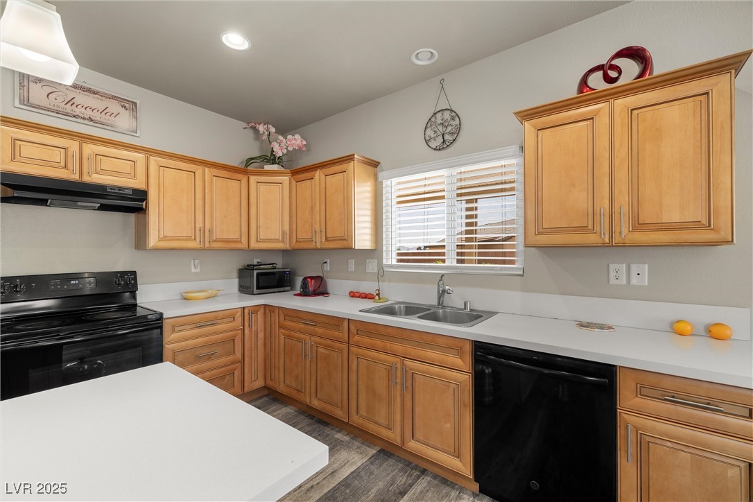 230 S Weeping Willow Court, Pahrump, Nevada image 13