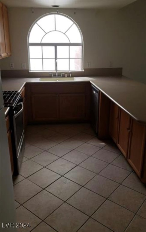 970 Flapjack Drive, Henderson, Nevada image 9