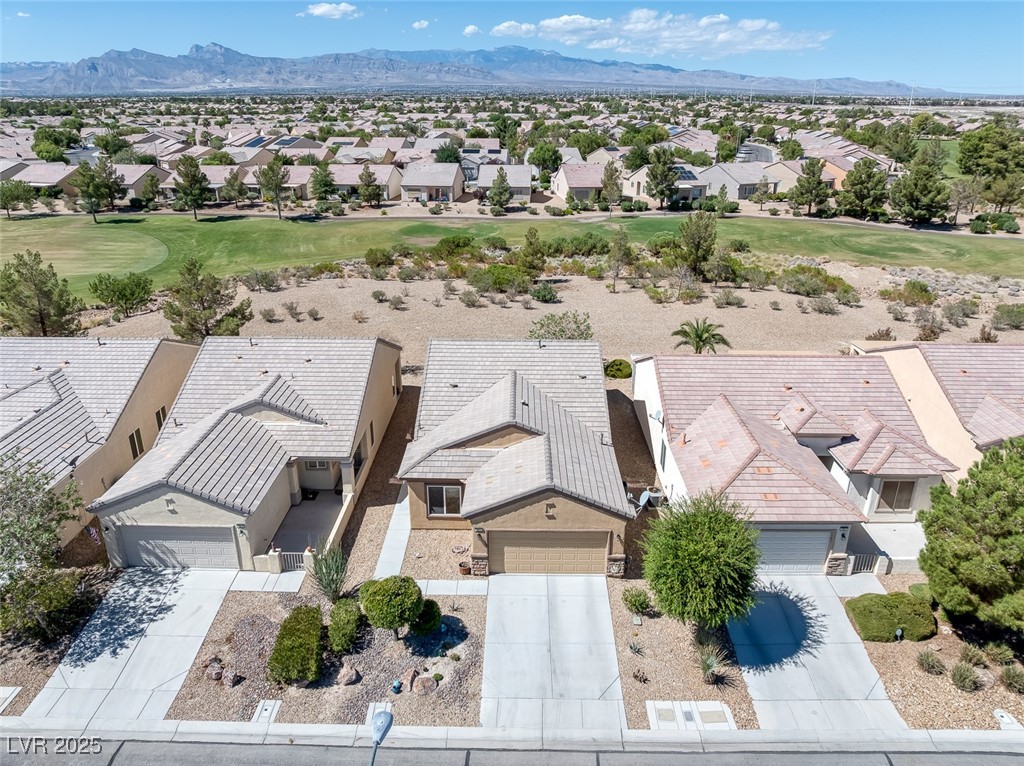7817 Homing Pigeon Street