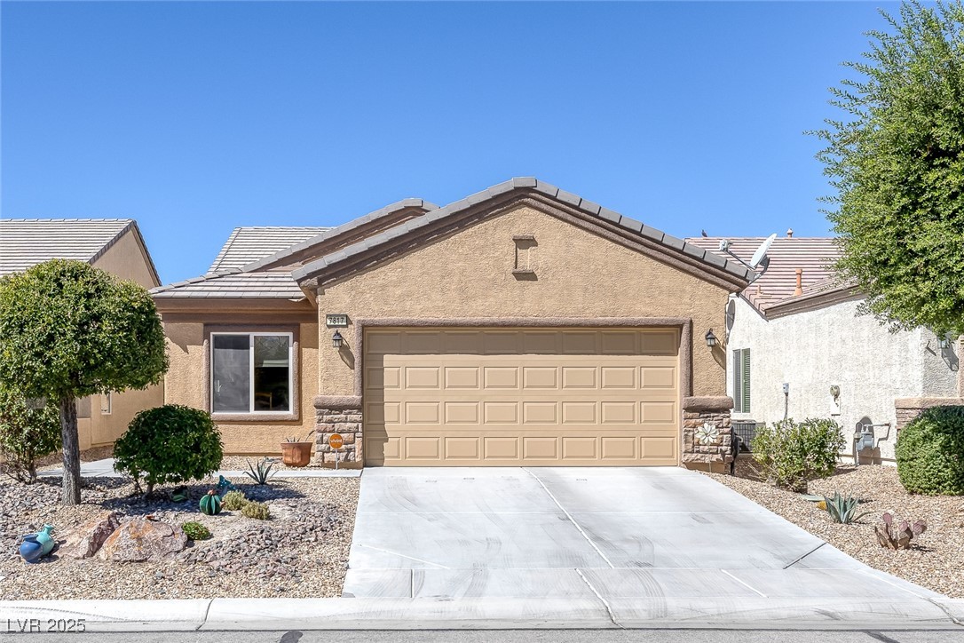 7817 Homing Pigeon Street