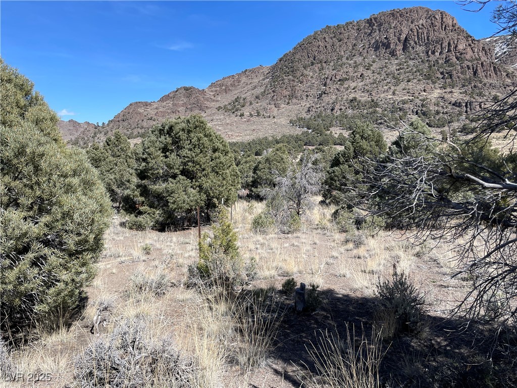 P-14 Butte Valley, Ely, Nevada image 3