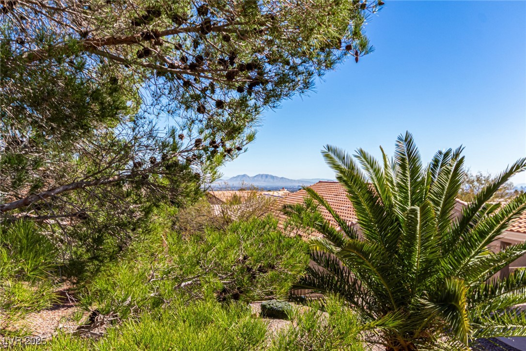 10709 Brinkwood Avenue, Las Vegas, Nevada image 27