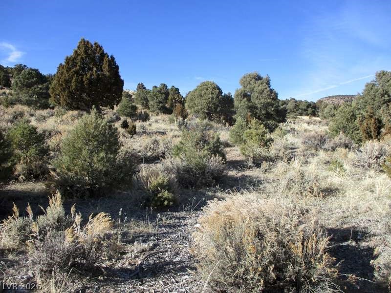 NV Hwy 322 (10.012 Ac)